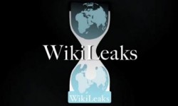  Wikileaks zawieszony